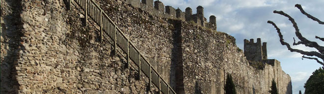 Banner de cabecera